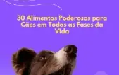Nutrição Canina