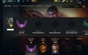 Mestre com 65 Champs e 12 Skins