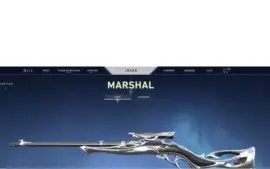 vendo conta valorant com muitas skins!