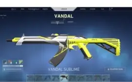 vendo conta valorant com muitas skins!