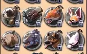 Conta albion endgame, c/skin de lobo top1