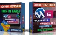 EXCLUSIVO:Tenha Domínio, WordPress, SSL e Elementor de graça