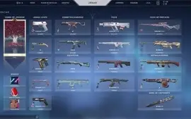 Vendo conta valorant com muita skin !  gastos BRL3265.10