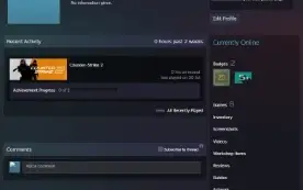 Steam 21 Anos (15 Setembro De 2003) Medalhas 5 E 10 Anos