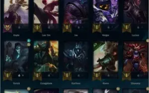 conta plat 4 57 champ 44 skin