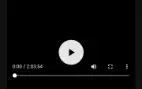 Protector System V2.5.6 - Monetização Premium