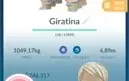 ACC POKEMON GO NV38