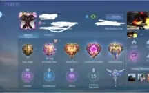 Conta Perfeita mobile legends