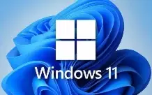 Windows 11 Pro