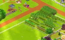 Hay Day conta LVL 73