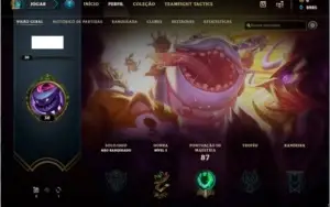 CONTA UNRANKED LVL 30
