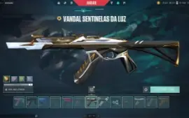 Conta valorant com bastante skins