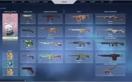 conta prata 3 com algumas skins (R$386,00 gastos)
