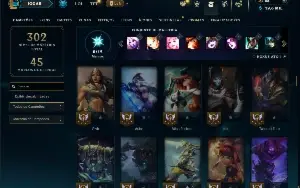 Unranked com 115 Champs e 52 Skins ( ADC / SUP )