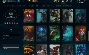 Unranked com 115 Champs e 52 Skins ( ADC / SUP )