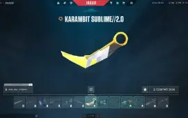 Conta de Valorant Platina