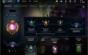 Conta Platina 4