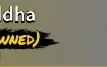 Vendo Conta Bloxfruits