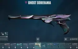 conta valorant 1000 gastos, ex ascendente