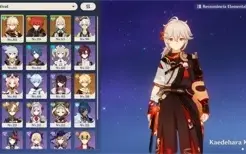 GENSHIN IMPACT XIAO E KAZUHA COM ARMA