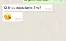 ZapZap conversas fake premium