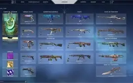 CONTA VALORANT 1200+ GASTOS!