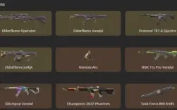 Conta Valorant Várias Skins 2.200$ Gastos Full Acesso