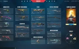 Conta Valorant Várias Skins 2.200$ Gastos Full Acesso