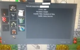 Knight 200 + Paladin Lvl + + Druid lvl 8 Skill High
