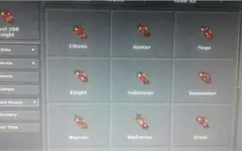Knight 200 + Paladin Lvl + + Druid lvl 8 Skill High