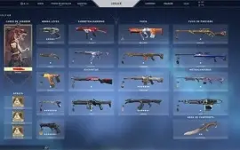 Conta valorant 800+ gastos e lol 500+ gastos ( vinculadas )