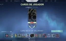 Conta valorant 800+ gastos e lol 500+ gastos ( vinculadas )