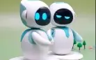 Robo