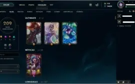 Conta D4, 209 skins, todos champions