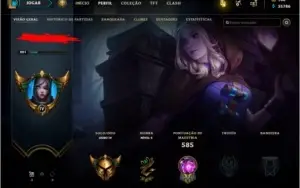 lol conta full camp.157 skins