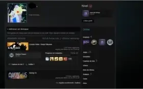 CONTA STEAM TOP 15 ANOS COM CS:GO PRIME + PUBG