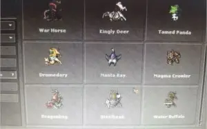 Druid Level 226 (Bona) + 2 Knight's - 146 e 131 + charmaker