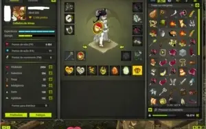 Vendo team 8 contas no DOFUS, server Spiritia, equipadas