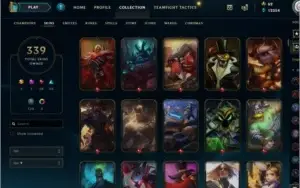CC 339 SKINS RARAS DE EVENTOS