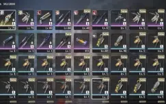 Jinhsi + Arma + Changli + ZheZhi + Verina