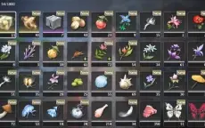 Jinhsi + Arma + Changli + ZheZhi + Verina