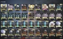 Jinhsi + Arma + Changli + ZheZhi + Verina