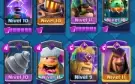Conta Top Com Porcos Reais Evoluidos + 10 Evoluções