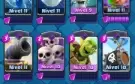 Conta Top Com Porcos Reais Evoluidos + 10 Evoluções