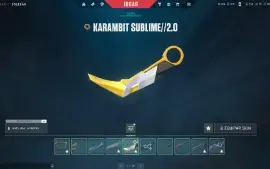 [Imperdível] Conta De Valorant Com 2500 Reais Em Skins