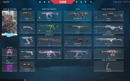 Conta valorant + de 2500 conto gasto
