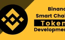 Criação de Token na rede BSC entrega rápida e profissional