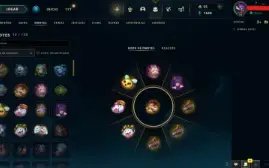 Conta mestre 500lp