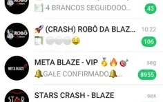 ⭐✨ PACK 80 GRUPOS VIPS BLAZE + GRUPO DE BRANCOS!✨⭐