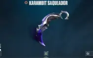 Conta Valorant Full Acesso Skins Raras Unico Dono